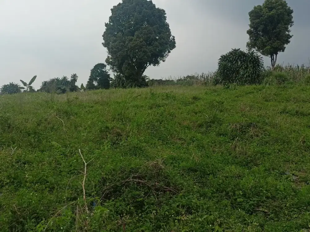 Tanah Kavling 1jt-an Di Area Wisata Tamasari View Langsung Gunung Salak Free SHM