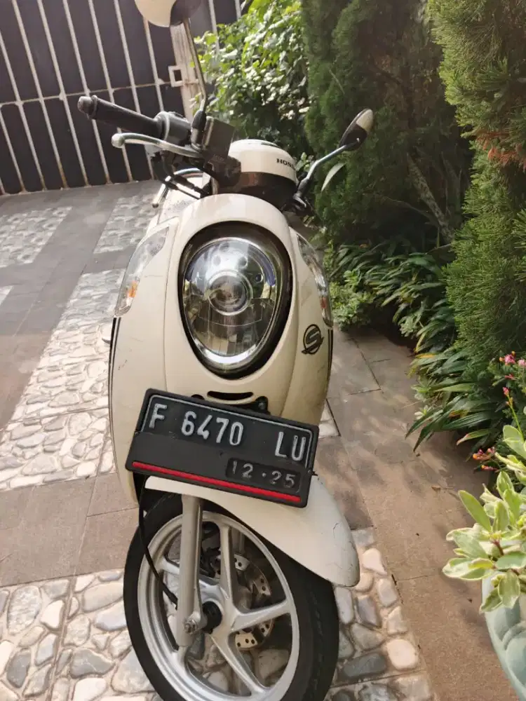 Honda Scoopy 2015