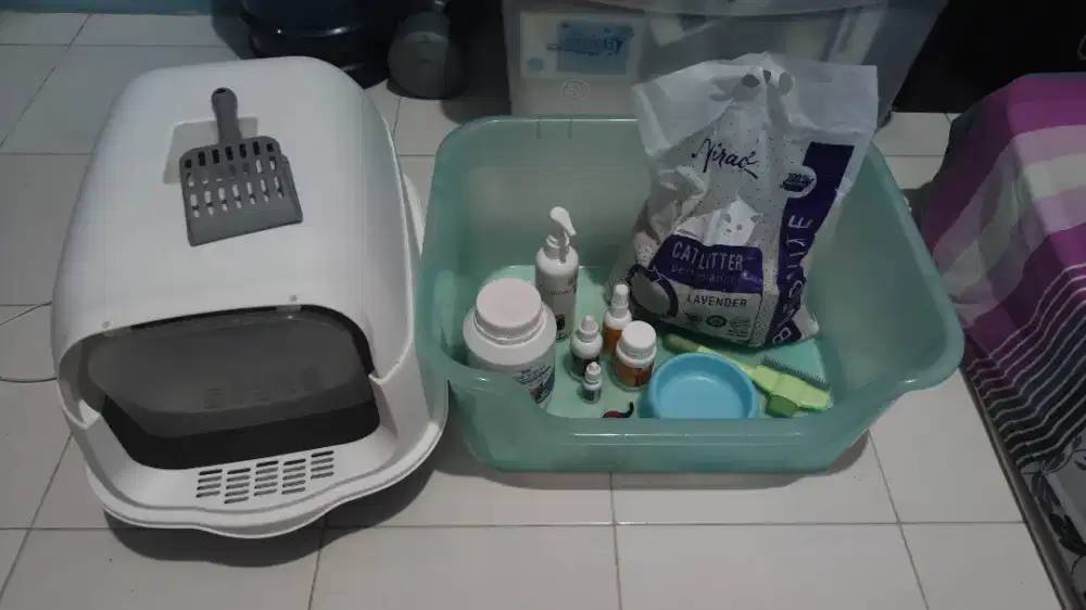 Perlengkapan kucing