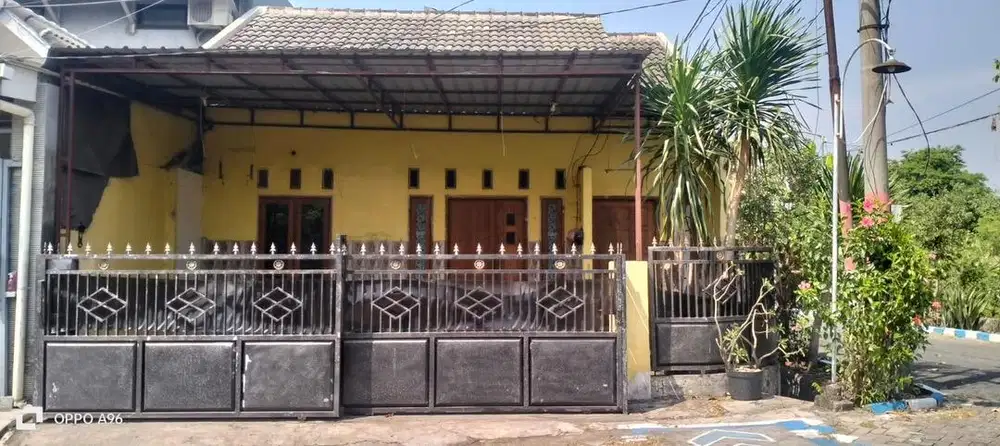 di kontrakkan / di sewakan