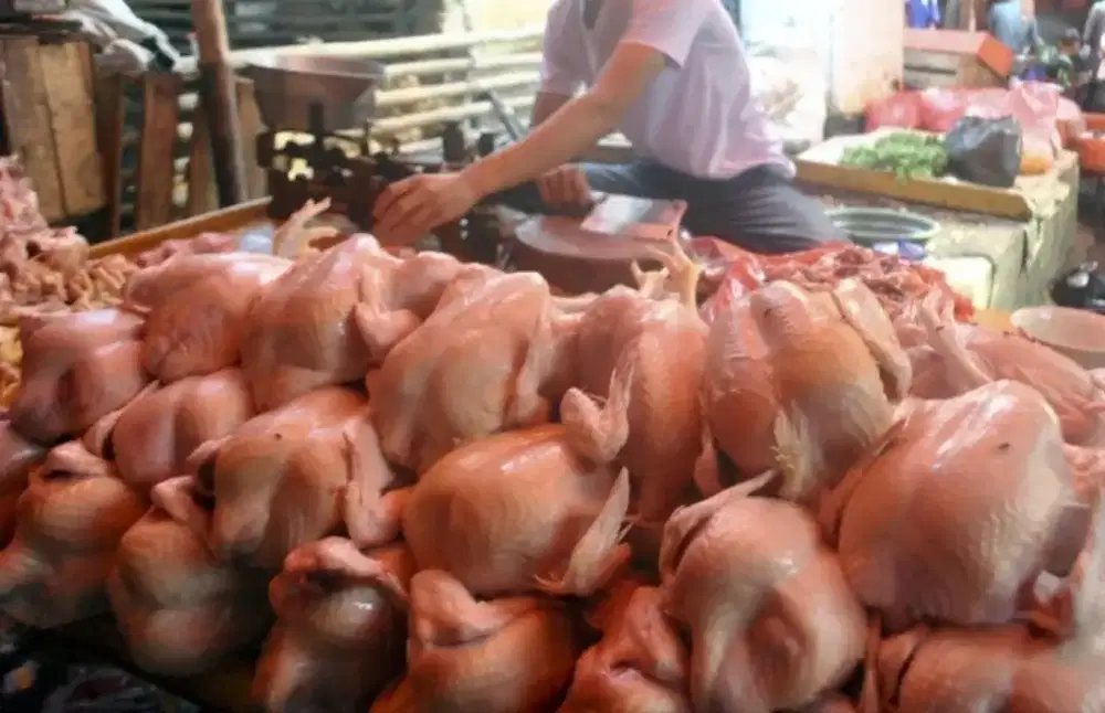LOWONGAN KERJA – KARYAWAN AYAM POTONG