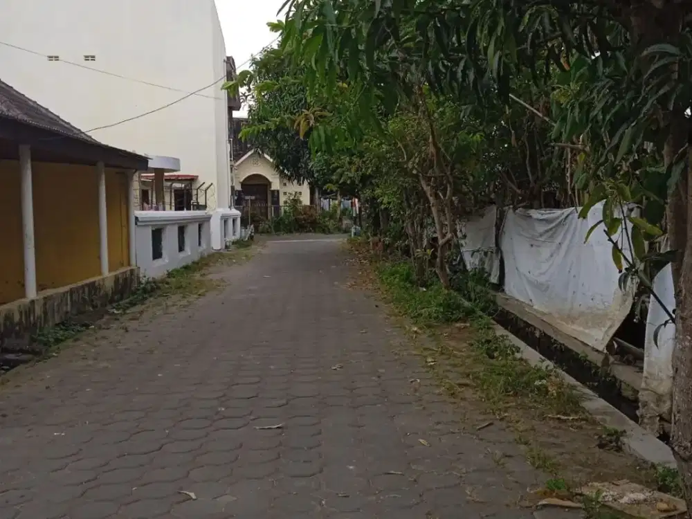 Tanah Nogotirto Siap Bangun; SHM Pekarangan