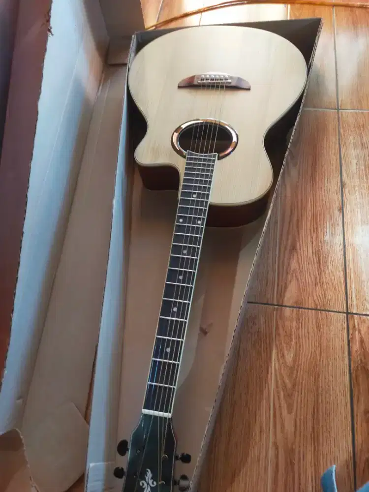 Gitar akustik tanam besi apx500