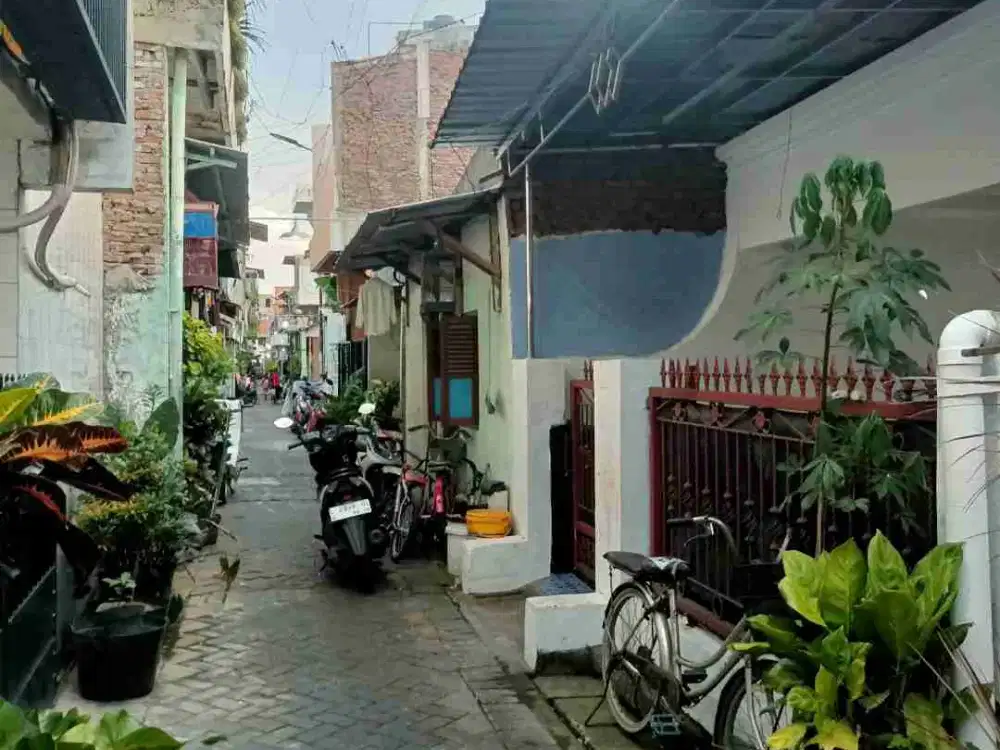 Rumah Di Jual Jojoran V Timur Mojo Gubeng Surabaya Dekat Kampus Unair Karangmenjangan