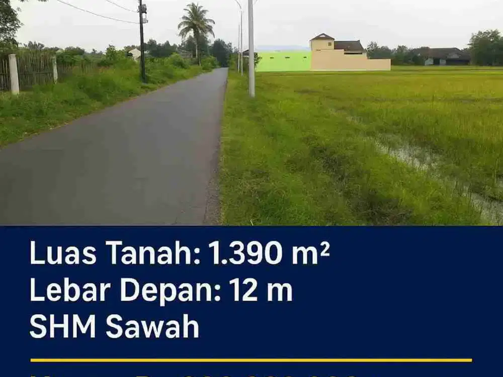 Dijual sawah mangku jalan raya gondang gantiwarno
