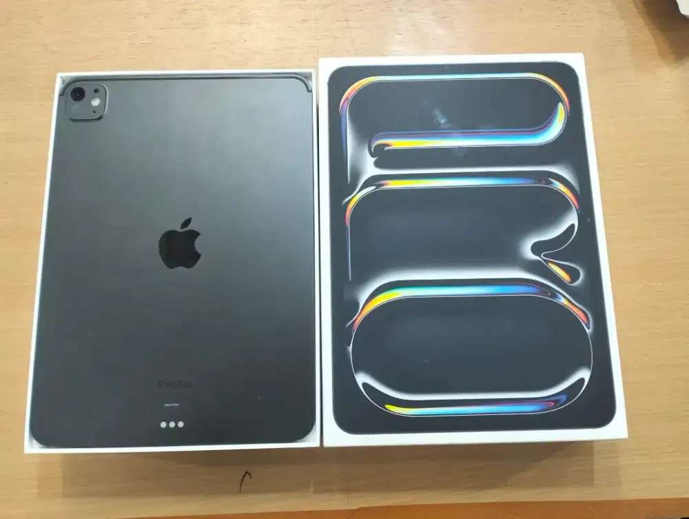 Ipad pro m4 256gb 13 inch  garansi ibox