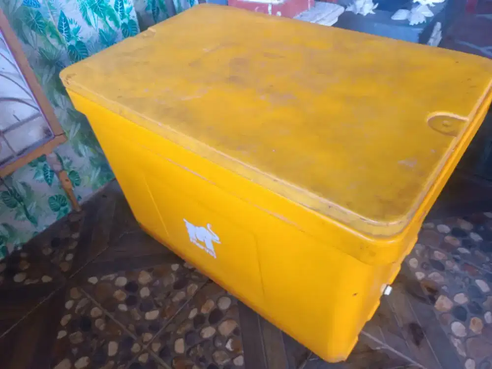 Cooler box  second