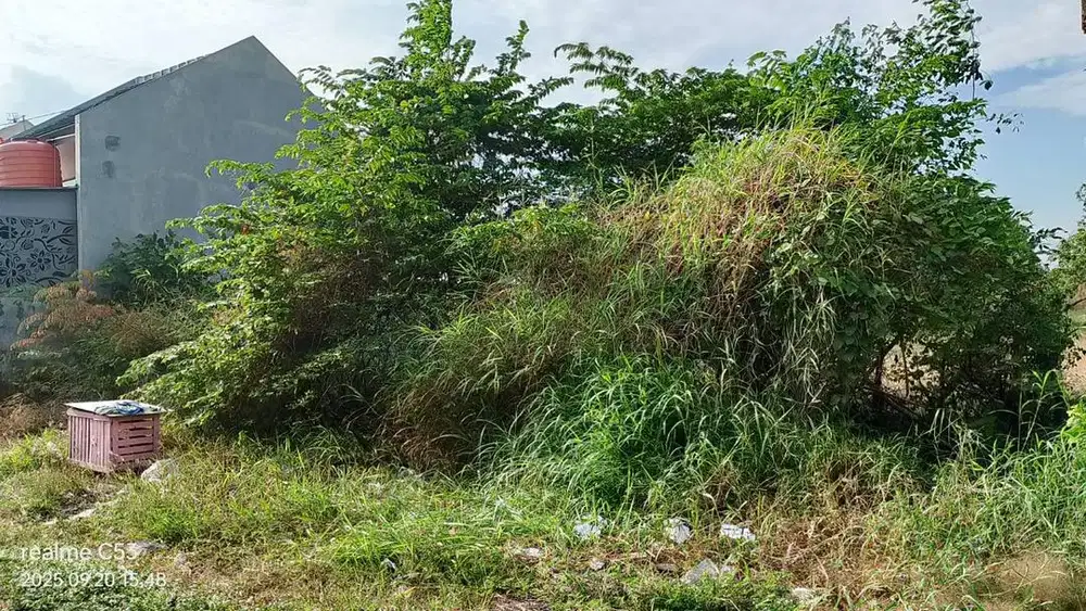 Dijual, butuh cepat laku, kavling Desa Setro Menganti, Gresik