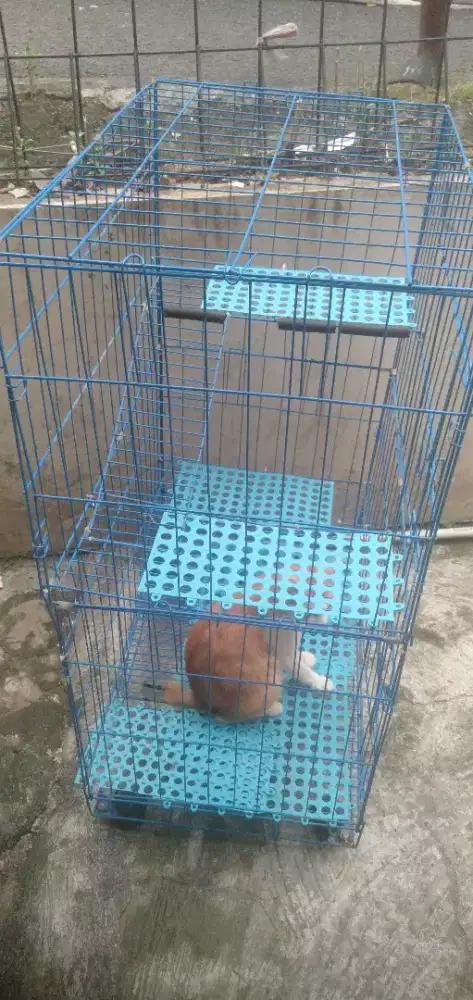 Saya mau jual kandang kucing