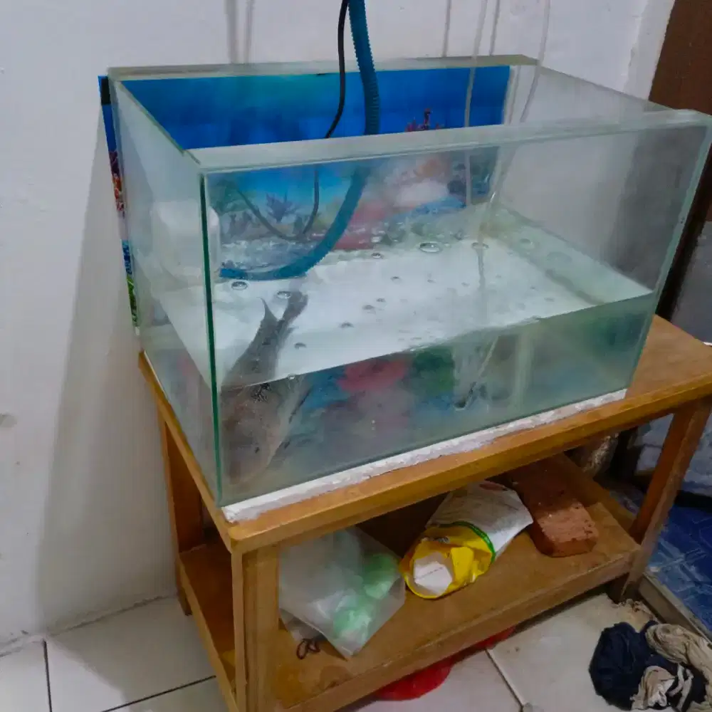 Aquarium 50×30×30 tebal kaca 5mm