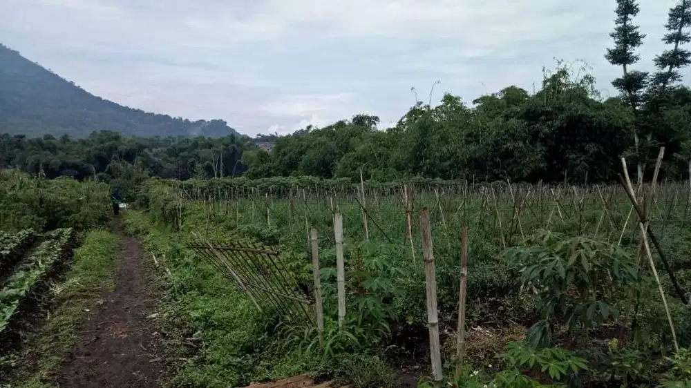 DIJUAL TANAH, TANAH DATAR Lokasi Sangat Strategis, Belakang ALUN2