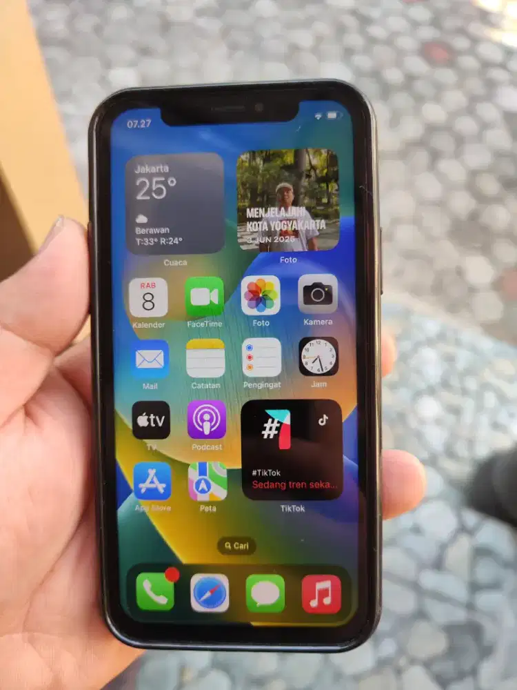 Iphone x 256gb josss