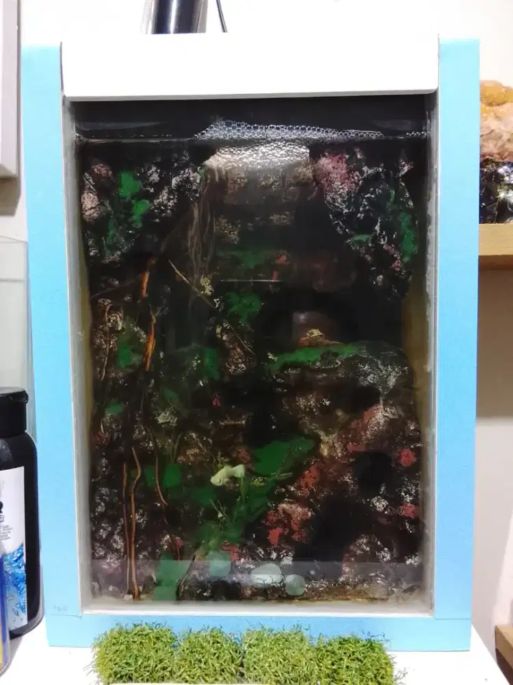 Akuarium  fulset