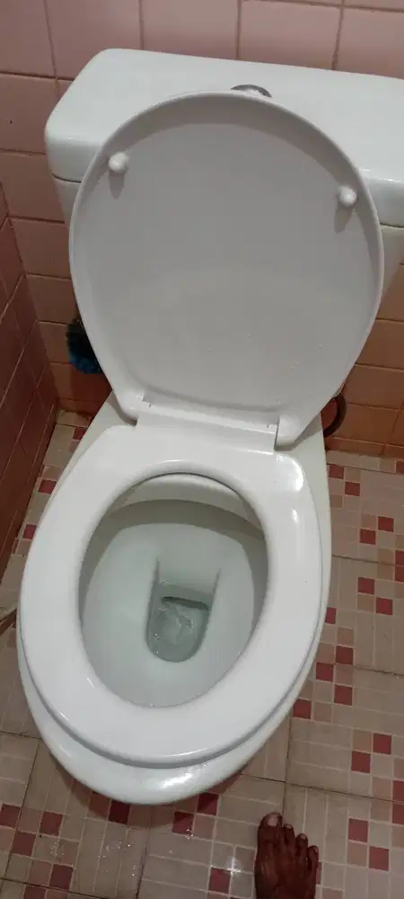 Toilet Seat Cover Merk Roca, Acrylic,Msh Baru,Salah Beli,Pejaten Timur