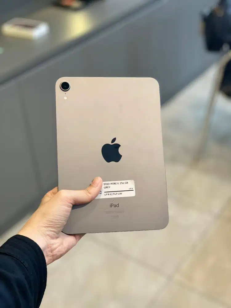 IPAD MINI 6 256 GB