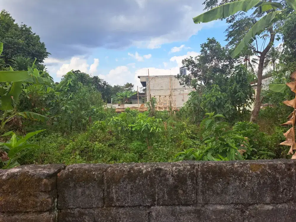 DIJUAL KEBUN MURAH