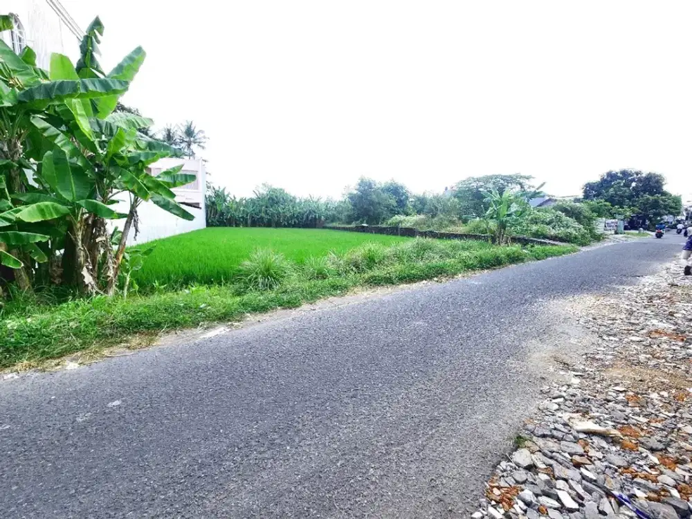 Jalan Beringin Raya,  Tanah Cantik 2 Menit Stadion Maguwoharjo Sleman