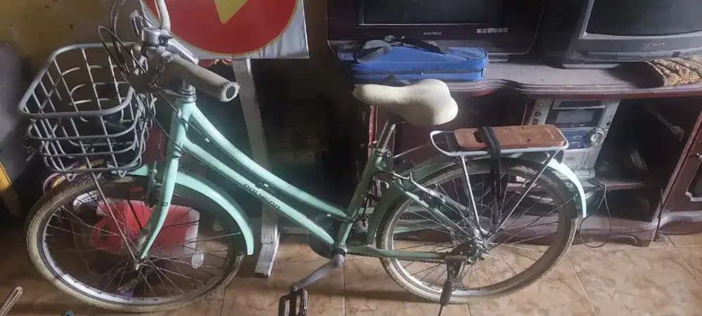 Dijual Sepeda Polygon Bekas Terawat, Warna Hijau Pastel, Siap Gowes