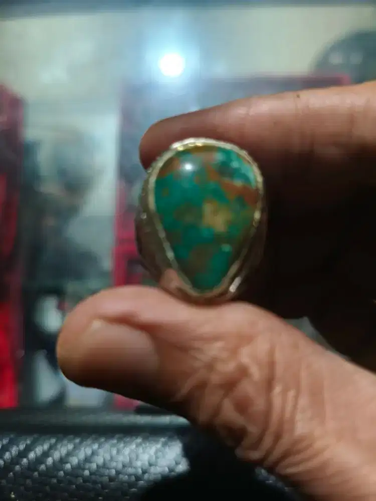 Pirus persia lawasan