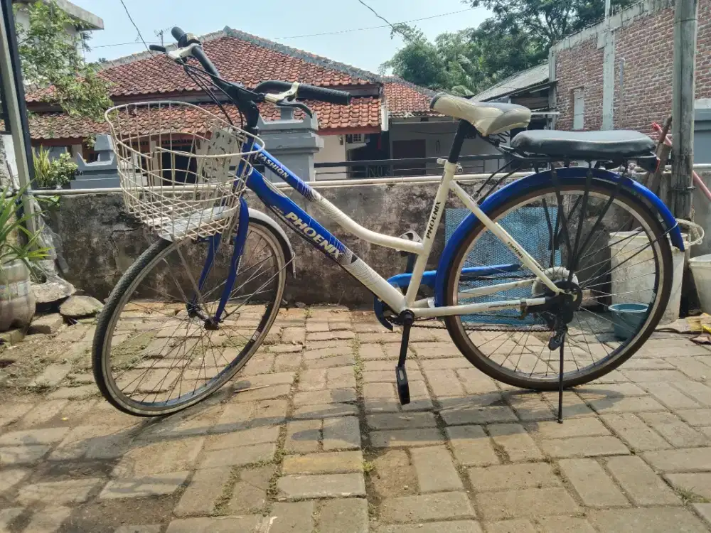 Sepeda CTB Phoenix size 26 SHINAMO 6 sped