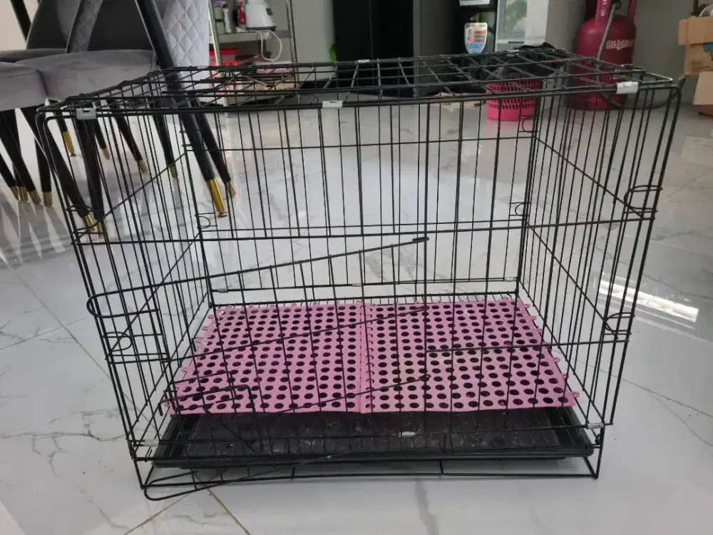Kandang kucing kecil