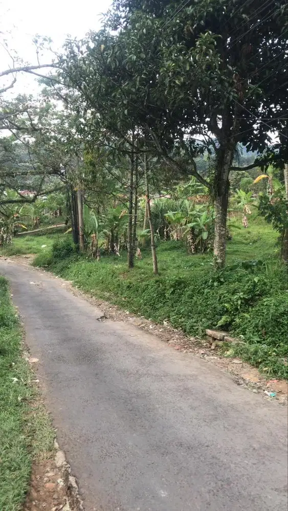 DIJUAL TANAH 2000M