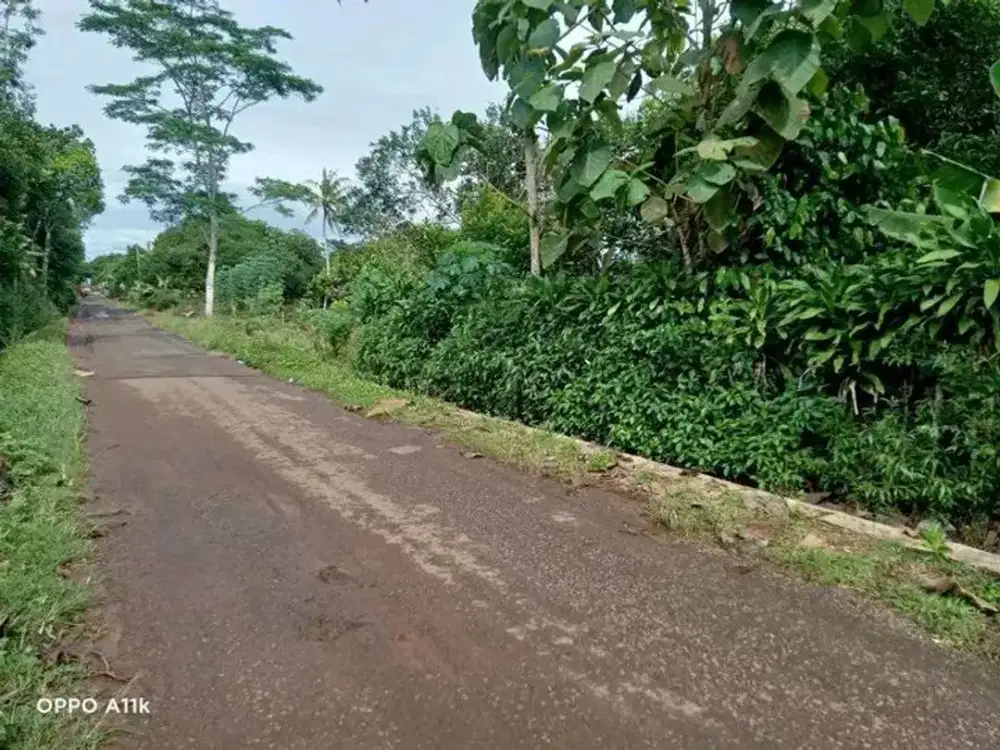Dijual Tanah Pinggir jalan di Kalijati Subang dekat exit tol kalijati