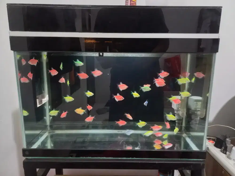 Aquarium full set
