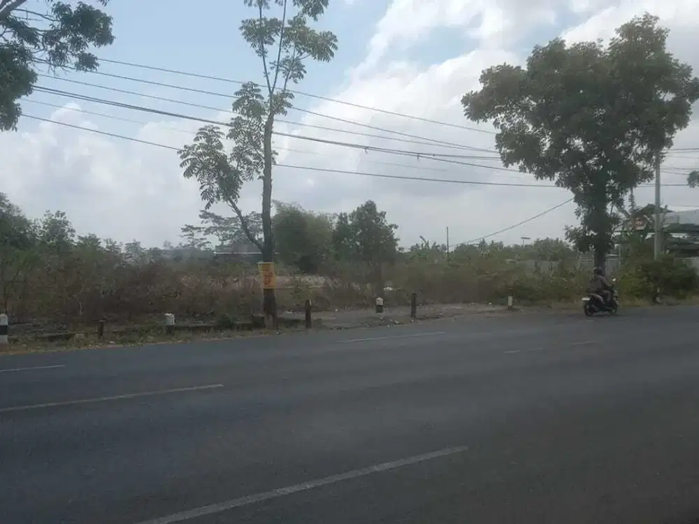 Kavling Super Strategis Sleman – Tepi Jalan Nasional