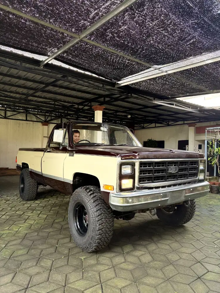 Chevy Costum Deluxe C20