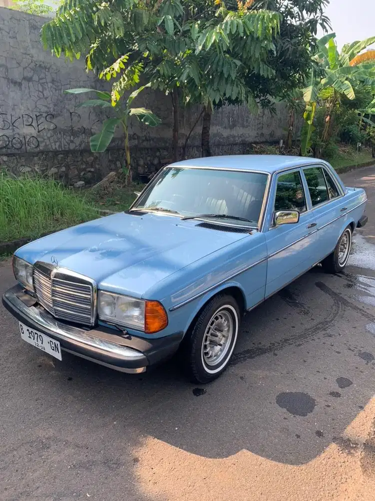 Mercy Tiger 300D w123