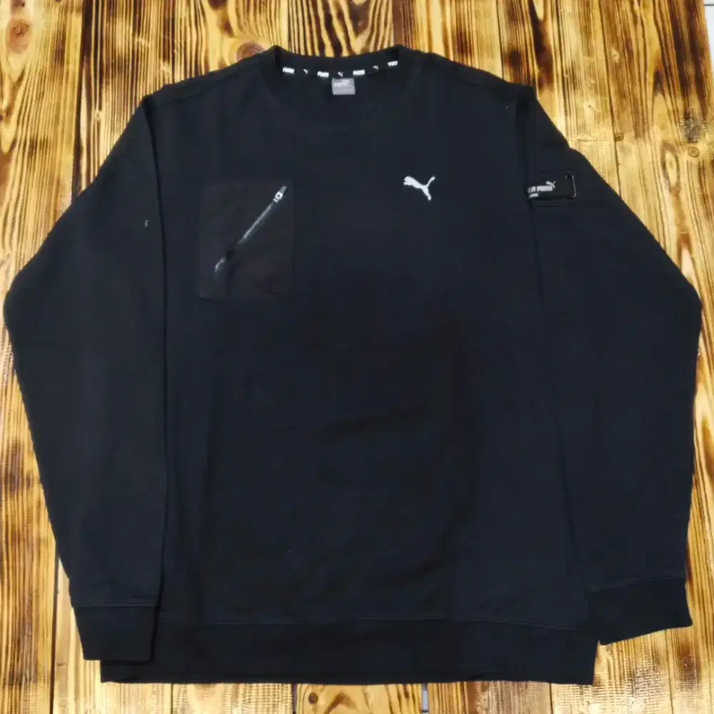 Cn puma big logo