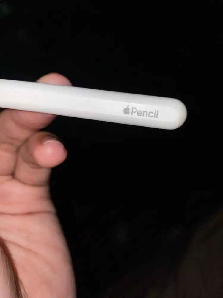 Pensil apple pen gen 2