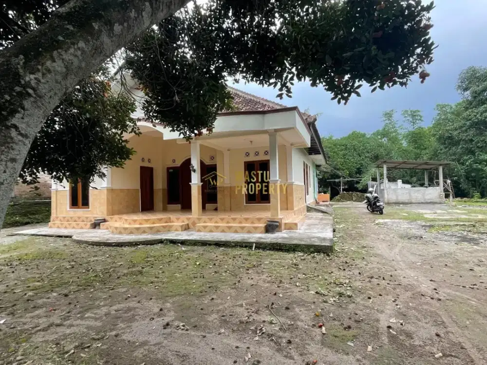 Rumah Tanah Luas Di Pleret Bantul Harga Dibawah Pasaran