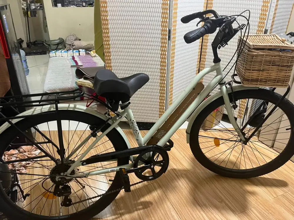 SEPEDA CITY BIKE 26 inch istimewa