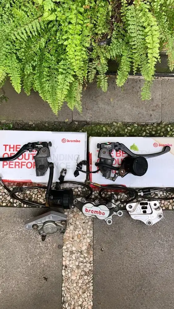 WTS Brembo 1 Set