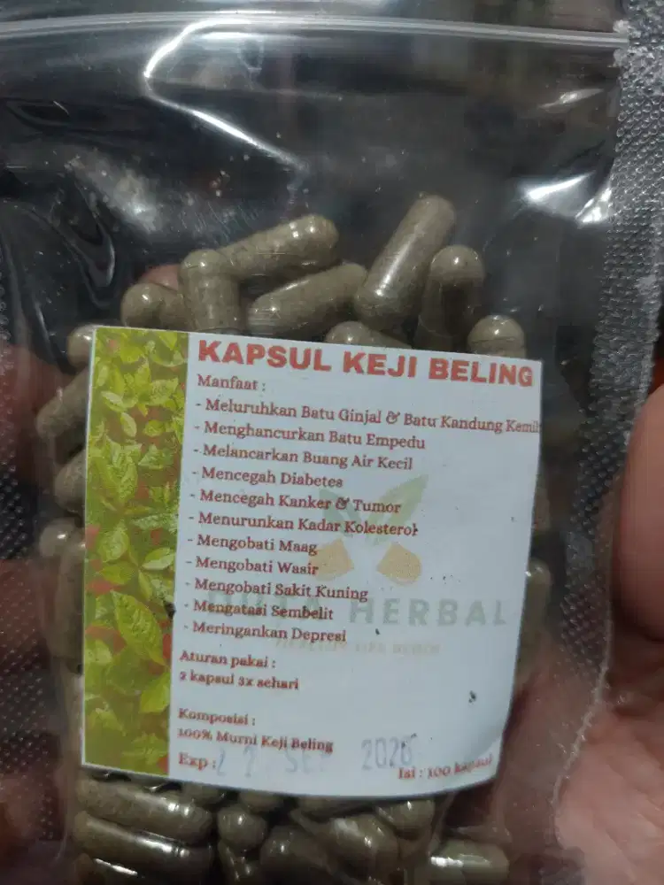 Kapsul keji beling