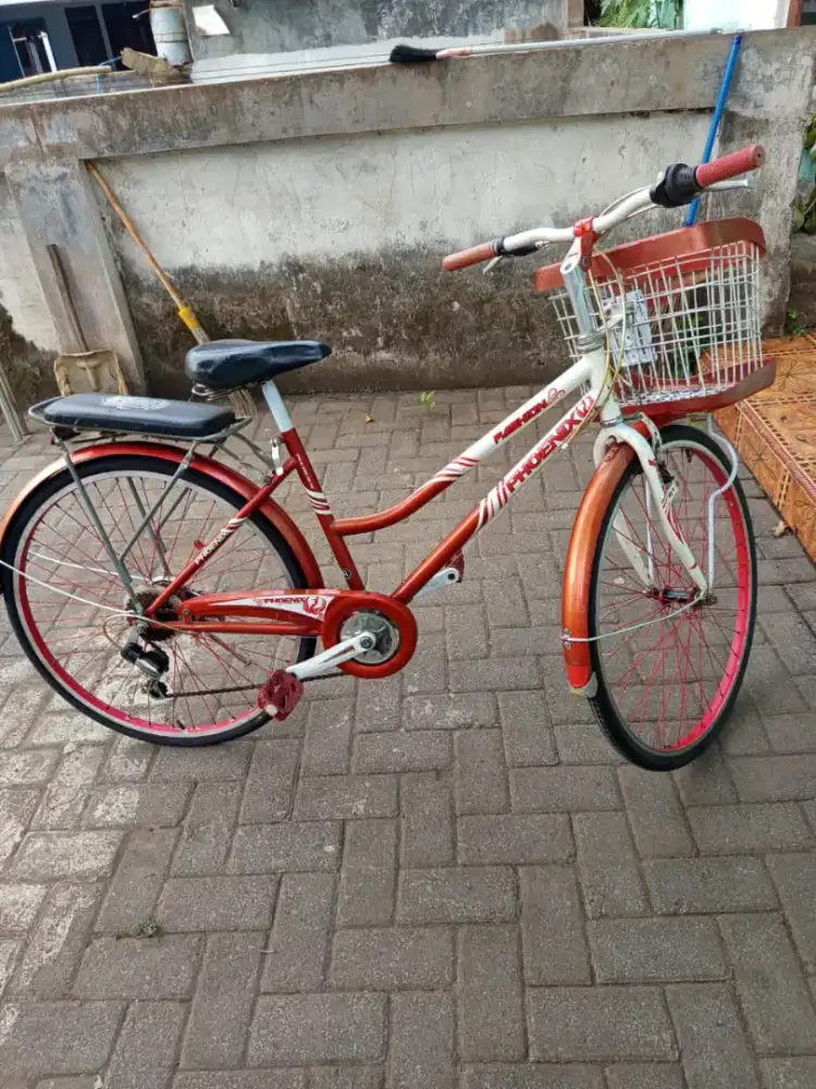Sepeda mini keranjang dewasa