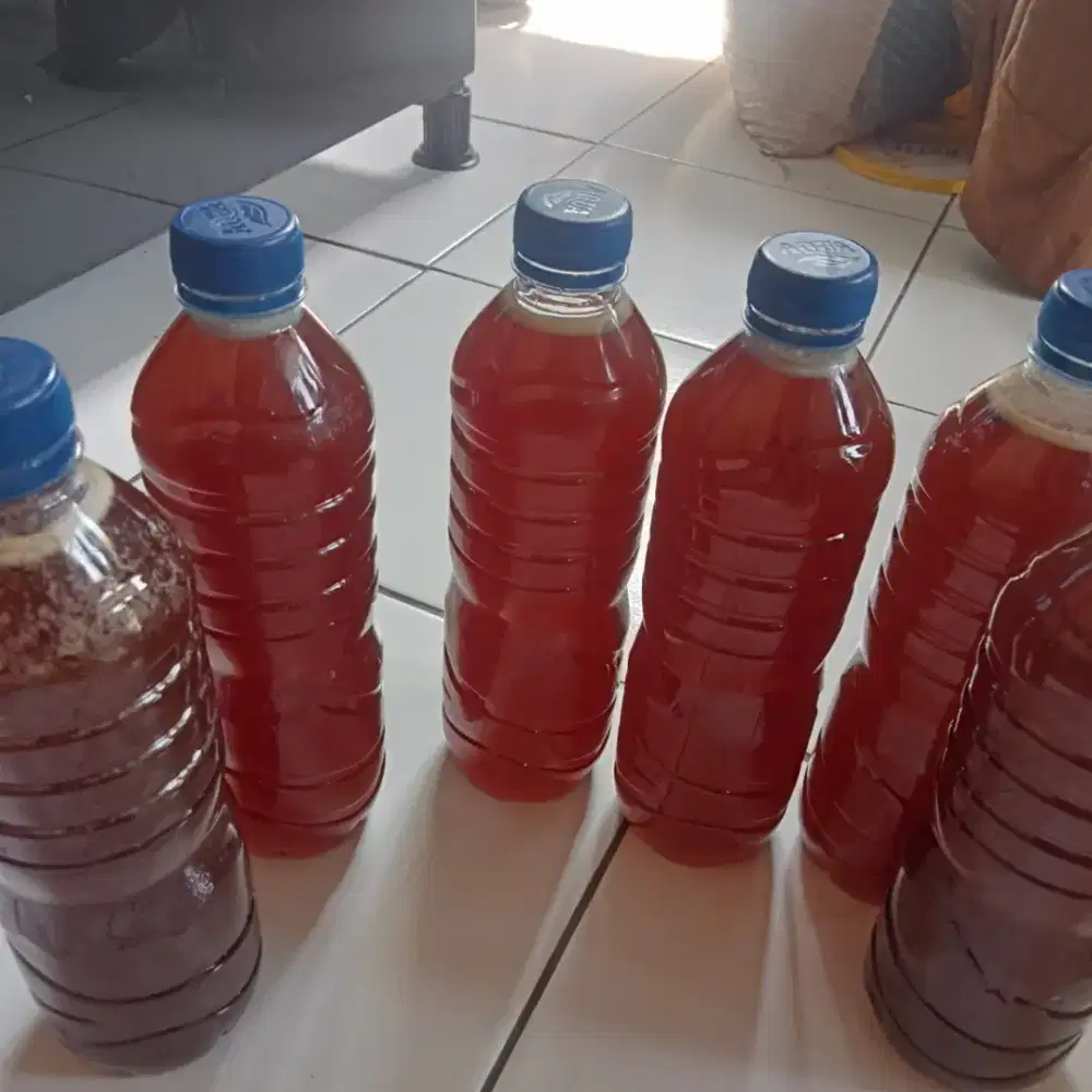 Jual madu asli NTT