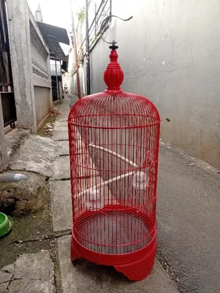 Kandang lovebird