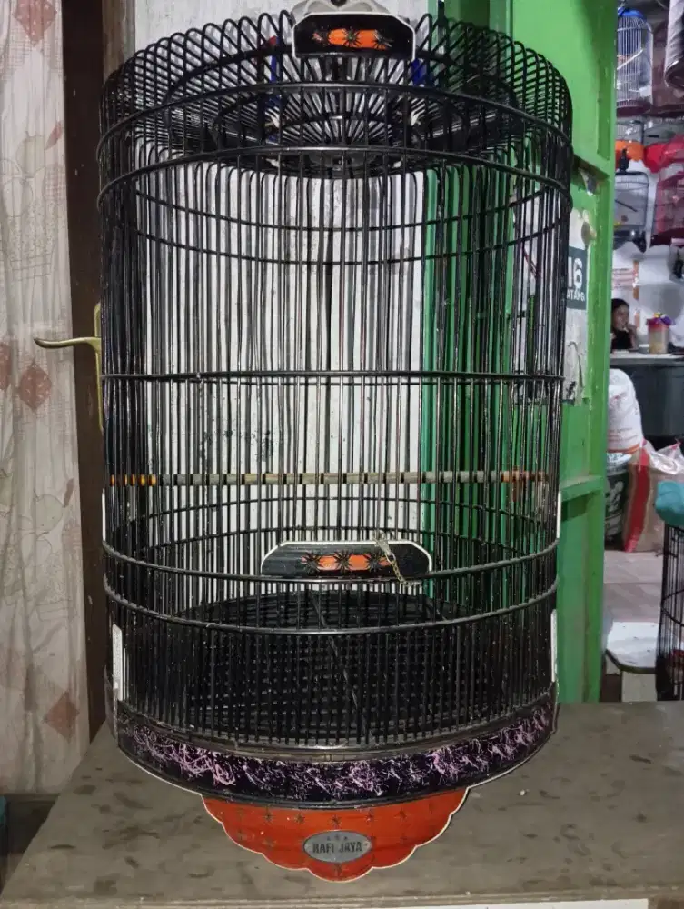 Kandang murai Rafi jaya no 2
