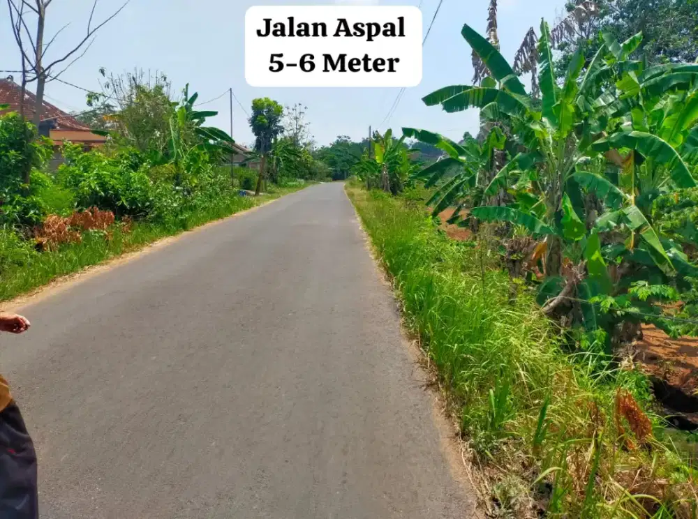 Jual Tanah Pekarangan Gejigan Gemolong
