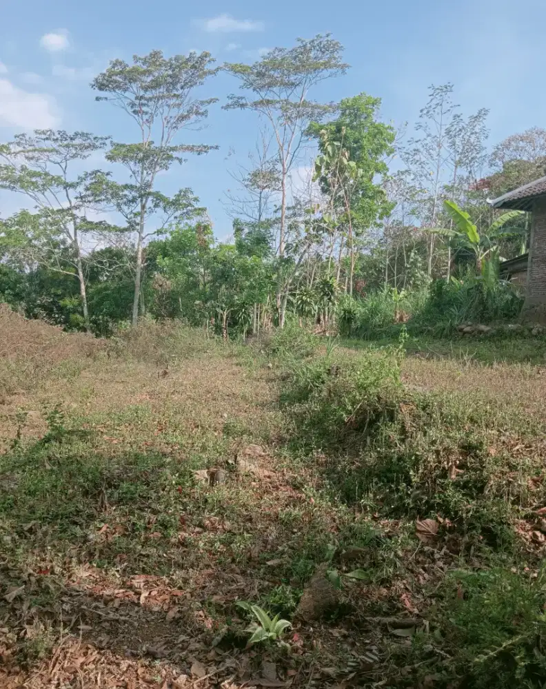 Tanah murah mojogedang