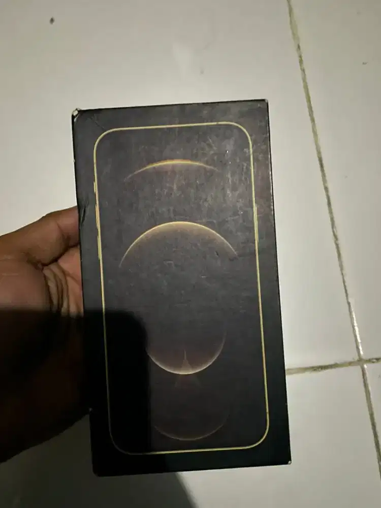 jual IP 12 Pro Inteer 128 Gb