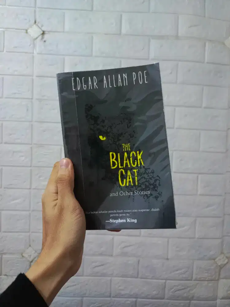 Paket Novel Fiksi Misteri Horror mulus - Black Cat dan No Exit