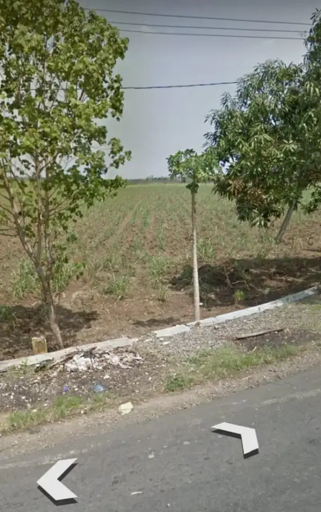 Dijual Tanah 4,5 Ha HGB Hadap Timur di Simongagrok Mojokerto