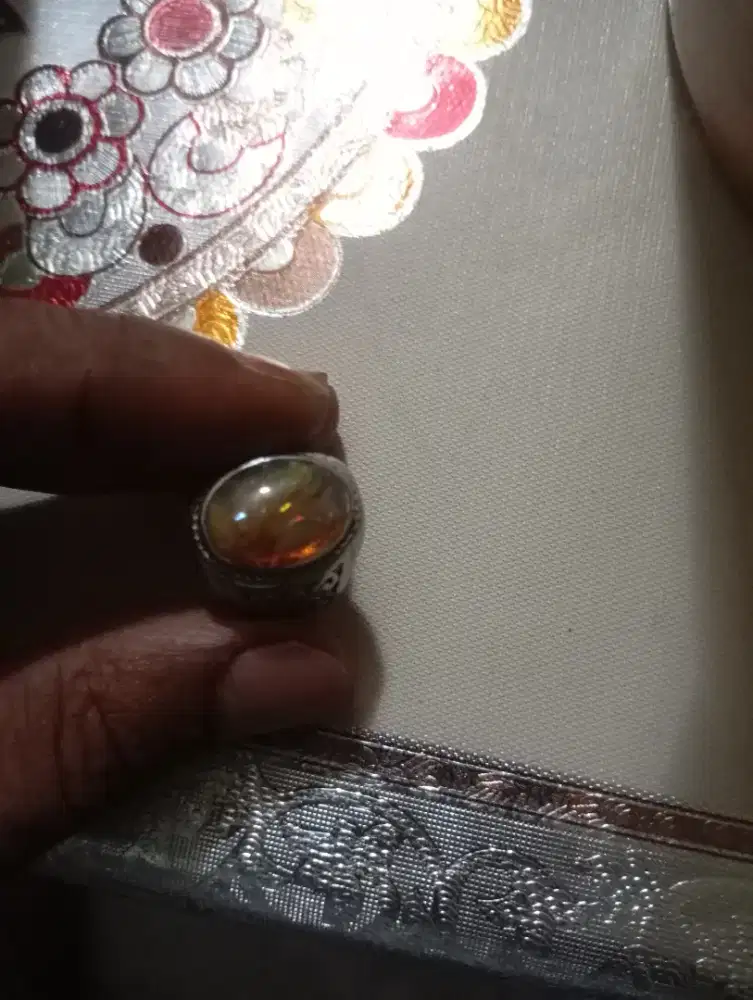 Udah bosen koleksi