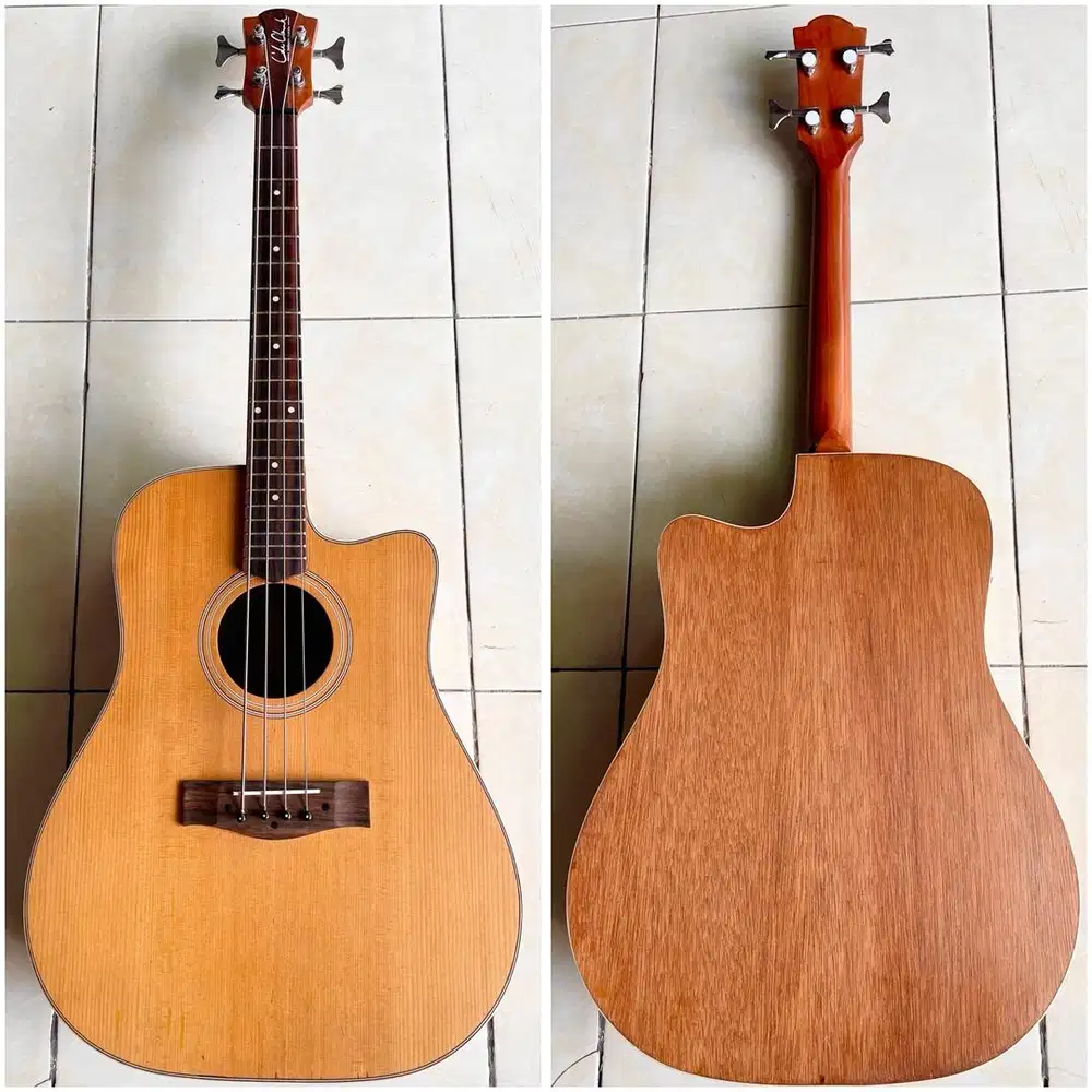 Bass Akustik Elektrik ColeClark Ibanez Fender SDGR Gillmore Washburn