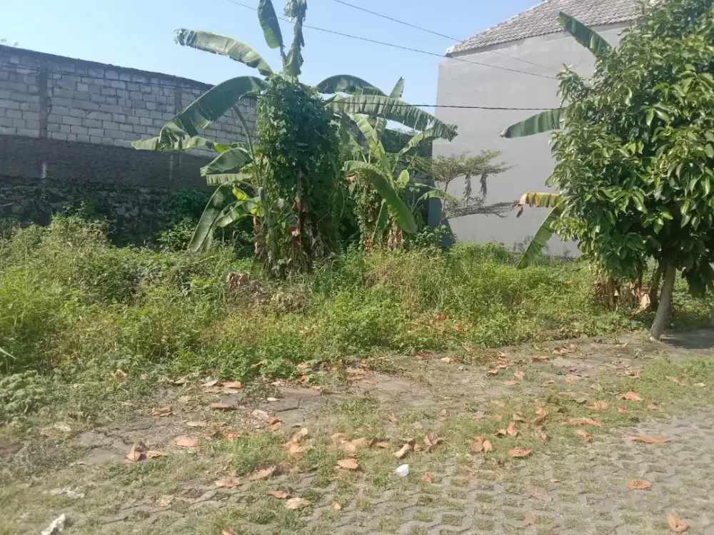 Dijual Tanah Kavling siap Bangun dekat RSUD di jl Klipang Pesona Asri