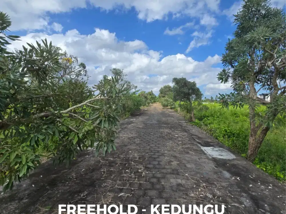 Dijual sebidang tanah di kawasan pantai Kedungu, Tabanan Bali